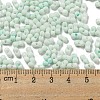 Macaron Color Opaque Frosted Glass Seed Beads X1-SEED-K009-12B-07-4