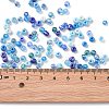 Opaque Colours Luster & Silver Lined & Transparent & Frosted Colours Glass Seed Beads SEED-A030-03A-3