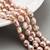 Natural Cultured Freshwater Pearl Beads Strands PEAR-P062-24C-1
