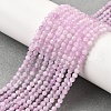 Natural Kunzite Beads Strands G-G259-D11-3mm-1