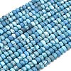 Dyed Natural Map Stone Beads Strands G-P575-A21-6x4mm-02-2