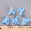 Transparent Acrylic Beads BSF796-C27-6