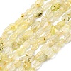 Natural Gold Prehnite Beads Strands G-K395-A07-01-2