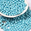 Baking Paint Luster Glass Seed Beads X1-SEED-B001-04A-03-1