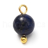 Natural Mixed Gemstone Charms X-PALLOY-JF00992-01-3