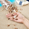 Spiral Shell Pendants SSHEL-TA0001-02-9