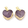 Natural Amethyst Pendants G-B012-13G-01-3