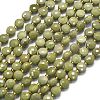 Natural Alashan Agate Beads Strands G-K389-B68-01-2