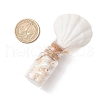 Natural Scallop Shell Beads with Glass Jar Glass Bottles PALLOY-JF03749-3