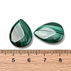 Natural Malachite Cabochons G-D312-01-3