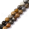 Natural Ocean Jasper Beads Strands G-C179-A09-03-2