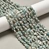 Natural Amazonite Beads Strands G-P575-C12-6mm-1