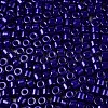 Opaque Baking Paint Glass Seed Beads SEED-T008-02V-3