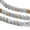 Natural Ang Beads Strands G-RM2025-30-4mm-4