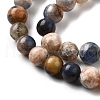 Natural Sodalite Beads Strands G-F591-13B-7