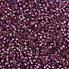 MIYUKI Delica Beads X-SEED-J020-DB1757-2
