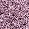 TOHO Round Seed Beads X-SEED-TR11-0127-2