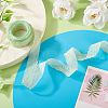 Polyester Crumpled Ribbon OCOR-TAC0035-12A-6