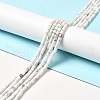 Natural Howlite Beads Strands G-I341-04-2