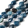 Natural Apatite Beads Strands G-Q026-D01-01-1
