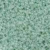MIYUKI Round Rocailles Beads SEED-G007-RR0370-3