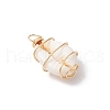 Natural Cowrie Shell Copper Wire Wrapped Pendants PALLOY-JF03368-4