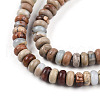 Natural Aqua Terra Jasper Beads Strands G-T140-71B-3