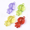 Transparent Acrylic Pendants TACR-S149-01-1