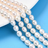 Natural Cultured Freshwater Pearl Beads Strands PEAR-N012-06-03A-01-1