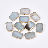 Electroplate Natural Flower Amazonite Beads G-S344-98-1