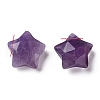 Natural Amethyst Charms X-G-H241-04D-2