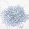 8/0 Transparent Glass Round Seed Beads SEED-J010-F8-32-2