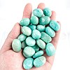 Mother's Day Gifts Natural Amazonite Healing Stones PW-WGD7FF2-12-1