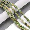 Natural Serpentine Bead Strands G-N166-6-1-1