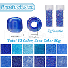 SUNNYCLUE Glass Seed Beads SEED-SC0001-51B-05-2