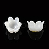 Natural White Shell Bead Caps SSHEL-N032-58A-1