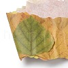 Paper Fallen Leaves Sticker Rolls DIY-C080-01G-3