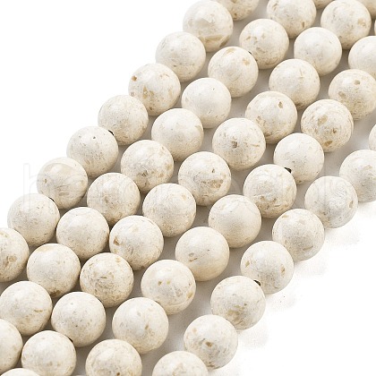 Natural Fossil Beads Strands G-H026-02C-1