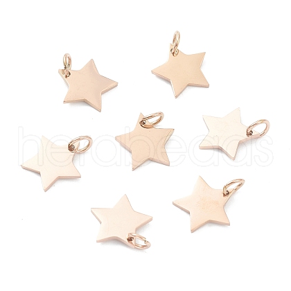 (Defective Closeout Sale: Scratches)304 Stainless Steel Charms STAS-XCP0001-35-1