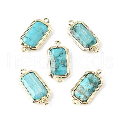 Dyed Natural Howlite Faceted Rectangle Connector Charms G-H323-04G-02-1