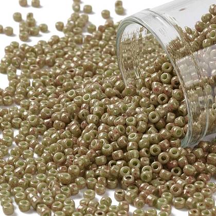 TOHO Round Seed Beads X-SEED-TR11-1209-1