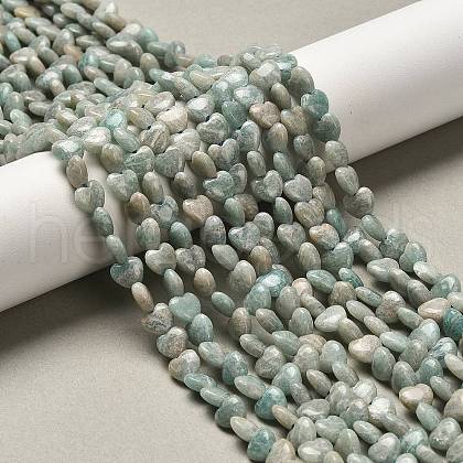 Natural Amazonite Beads Strands G-P575-C12-6mm-1