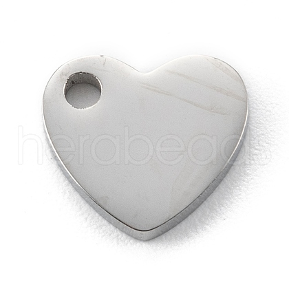 Non-Tarnish 304 Stainless Steel Charms STAS-G251-03P-1