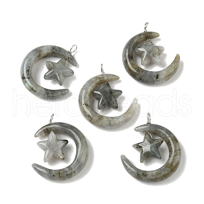 Natural Labradorite Pendants G-Z086-01P-14-1