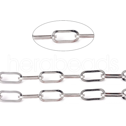Tarnish Resistant 304 Stainless Steel Paperclip Chains CHS-L022-05P-1