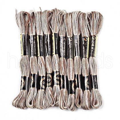 10 Skeins 6-Ply Polyester Embroidery Floss OCOR-K006-A41-1