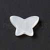 Natural White Shell Beads BSHE-G031-05-2