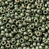 MIYUKI Round Rocailles Beads SEED-X0055-RR2033-2