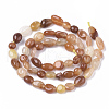 Natural Golden Silk Jade Beads Strands G-S362-046-2