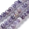 Natural Chevron Amethyst Beads Strands G-P428-04B-6mm-2